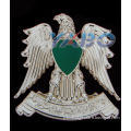 Hawk Deisgn Embossed 3D Effect Metal Lapel Pin/Badges (YB-030)